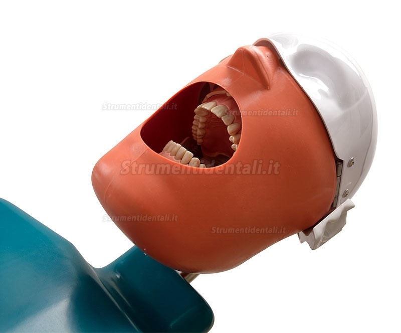 Jingle JG-C1 Manichino didattico per cure odontoiatriche (simulatori dentali da banco)